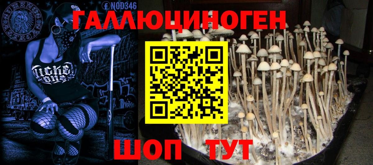 Галлюциногенные грибы ЛСД Корсаков