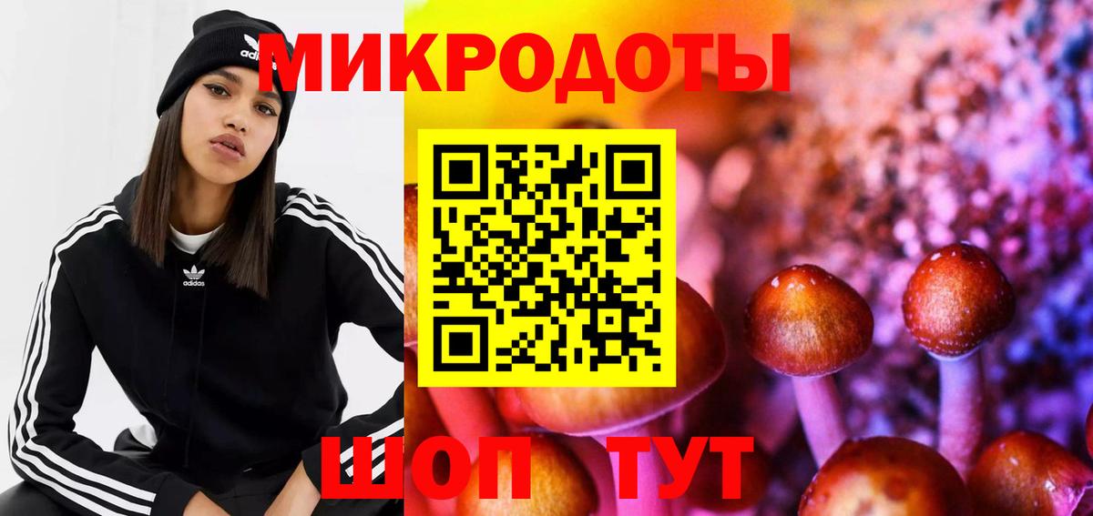 Корсаков  Псилоцибиновые грибы Psilocybe  Вход с VPN 